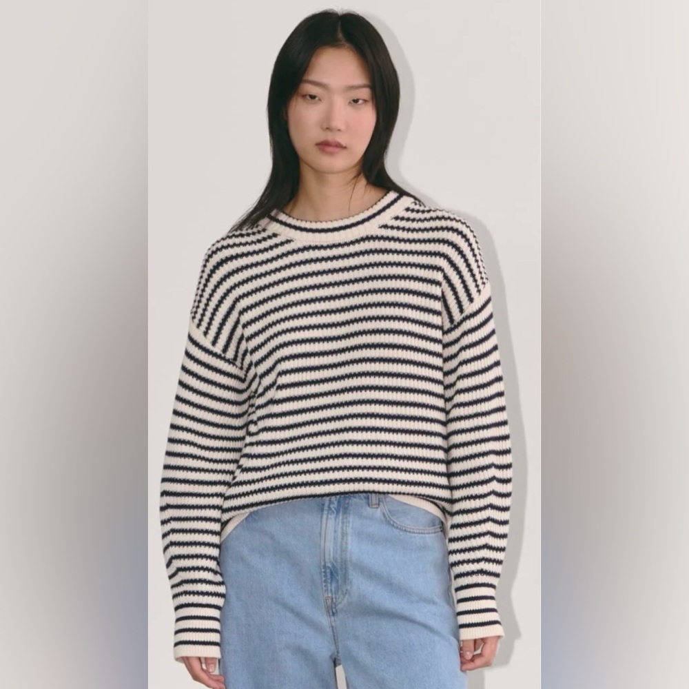 Everlane Cocoon Crew in Everyday Cotton